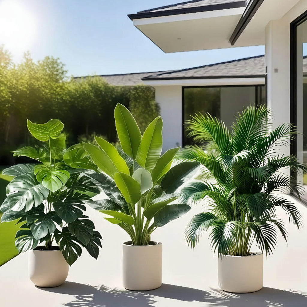 Set Verde Tropical